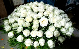 White Roses Arrangement