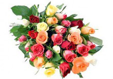 Assorted Roses