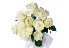 White Roses